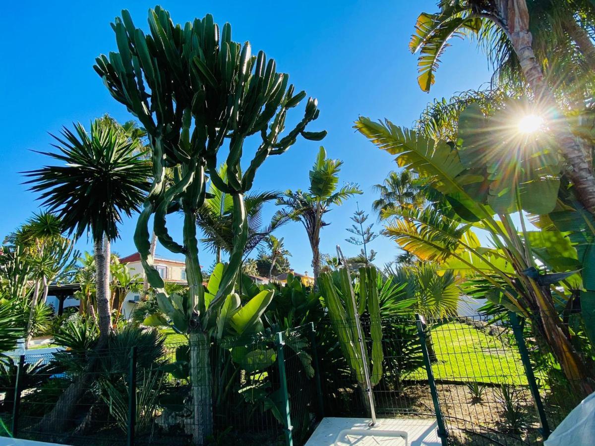 Studio-Near The Beach, Bbq And Seawater Pool Marbella Exteriér fotografie